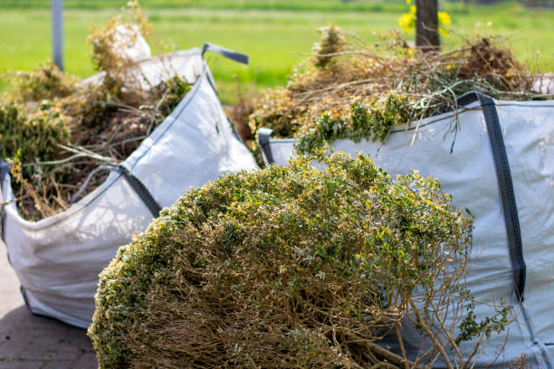 Best Household Junk Removal  in Mercedes, TX