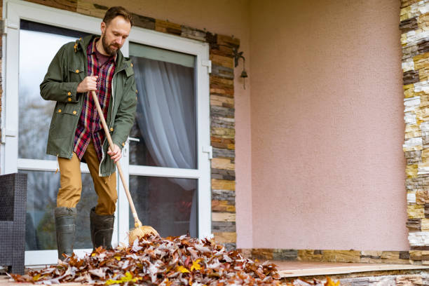 Best Professional Junk Removal  in Mercedes, TX